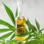 Unlocking the Power of Full Spectrum CBD Oil: Benefits and Uses